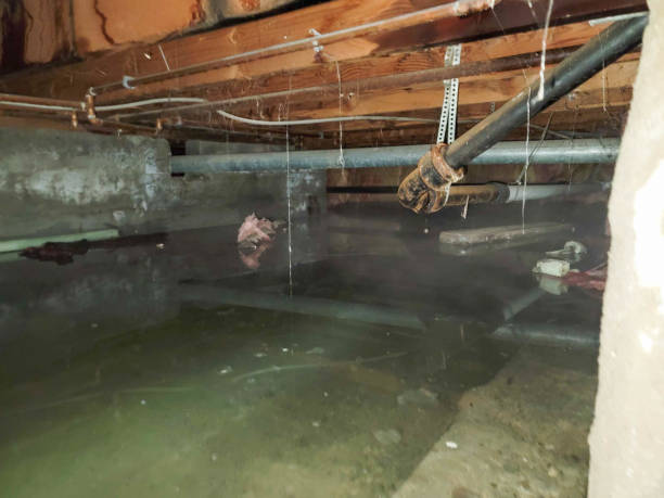 Local water damage restoration in South Congaree, SC